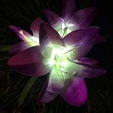 Load image into Gallery viewer, Lily Flowers Solar Light LED Fireworks Lamp Solar Powered Waterproof Outdoor Garden Light Lawn Automatic Lamp

