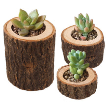 Load image into Gallery viewer, Wooden Branch Candle Holder Round Candlestick Table Desktop Decoration Plant Flower Plot Home Wedding Decor
