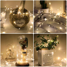 Load image into Gallery viewer, 1/2/3m LED String Lights Copper Silver Wire Garland Light Waterproof Fairy Lights For Christmas Wedding Party Decoration
