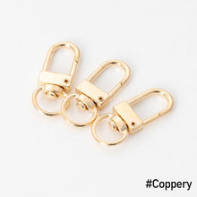 Load image into Gallery viewer, 10pcs Durable Metal Carabiner Clip Style Spring Key Chain Keyring Swivel Lobster Clasp Clips Key Hooks for Hanging
