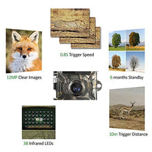 Load image into Gallery viewer, 12MP 1080P Wildlife Hunting Camera Motion Activated Security Camera IP66 Waterproof Infrared Night Vision Hunting Trail Camera
