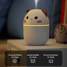 Load image into Gallery viewer, Portable 250ml Kawaii Air Humidifier Cute Aroma Oil Diffuser with Night Light USB Chargeable Cool Mist Sprayer Plants Purifier Humificador for Bedroom Home Car
