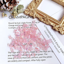 Load image into Gallery viewer, 50pcs Nail Art Butterfly Jewelry Three-dimensional Aurora Symphony Butterfly Jewelry Versatile Nail Decoration Manicure Accessories
