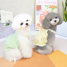 Load image into Gallery viewer, Summer Dog Lantern Skirts Pet Dress Pet Clothes Comfortable Soft Puppuy Dogs Cats Dress Pet Clothes
