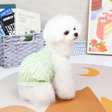 Load image into Gallery viewer, Summer Dog Lantern Skirts Pet Dress Pet Clothes Comfortable Soft Puppuy Dogs Cats Dress Pet Clothes
