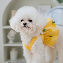 Load image into Gallery viewer, Spring Summer Cat Princess Dress Pet Skirts Pet Clothes Comfortable Soft Puppuy Dogs Cats Dress Pet Clothes
