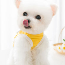 Load image into Gallery viewer, Spring Summer Pet Hoodie Puppy Dog Cat Vest Shirt Two-legged Cartoon Pet Clothes Teddy Bichon Pomeranian Schnauze Dog Clothes
