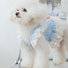 Load image into Gallery viewer, Spring Summer Cat Princess Dress Pet Lace Skirts Pet Clothes Comfortable Soft Puppuy Dogs Cats Dress Pet Clothes
