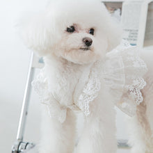 Load image into Gallery viewer, Spring Summer Cat Princess Dress Pet Lace Skirts Pet Clothes Comfortable Soft Puppuy Dogs Cats Dress Pet Clothes
