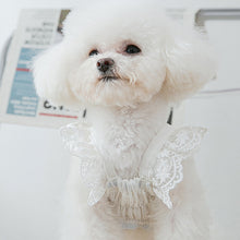 Load image into Gallery viewer, Spring Summer Cat Princess Dress Pet Lace Skirts Pet Clothes Comfortable Soft Puppuy Dogs Cats Dress Pet Clothes
