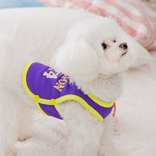 Load image into Gallery viewer, Summer Breathable Pet Mesh Vest Basketball Jersey Basketball Team Print Puppy Dog Hoodie Clothing Cat T-Shirt Sport Shirt Quick-drying Pet Clothes
