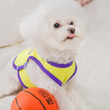 Load image into Gallery viewer, Summer Breathable Pet Mesh Vest Basketball Jersey Basketball Team Print Puppy Dog Hoodie Clothing Cat T-Shirt Sport Shirt Quick-drying Pet Clothes
