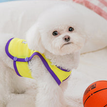 Load image into Gallery viewer, Summer Breathable Pet Mesh Vest Basketball Jersey Basketball Team Print Puppy Dog Hoodie Clothing Cat T-Shirt Sport Shirt Quick-drying Pet Clothes

