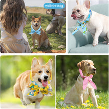 Load image into Gallery viewer, Summer Pet Cooling Ice Scarf Cool Ice Towel Heatstroke Dogs Cats Ice Scarf Collar Cooling Adjustable Cat Collar Bib Dog Supplies
