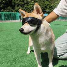 Load image into Gallery viewer, Outdoor Pet Cat Dog Fashion Sunglasses Cycling Pet Dog Sunglasses Dog Glasses Uv Protection Portable Adjustable Pet Glasses
