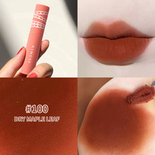 Load image into Gallery viewer, Velvet Lip Glaze Mist Glaze Mud Moisturizing Lip Glaze Lip Gloss Lipstick Lips Makeup Cosmetic Non-stick Cup Women Beauty

