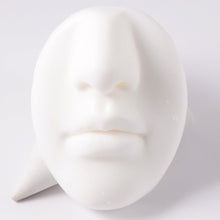 Load image into Gallery viewer, Face Silicone Model With Clear Board Lipstick Model Puncture Training Model Nose Nail Nose Ring Lip Nail Display

