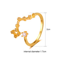 Load image into Gallery viewer, Fashion Simple Zodiac Rings Creative Zircon Adjustable Copper Rings Jewelry Accessories Gift for Women
