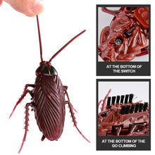 Load image into Gallery viewer, Simulated Cockroach Toy Cat Electric Vibration Cockroach Toys Pet Kitten Interactive Toys Simution Cockroach Tricky Toys Insect Model
