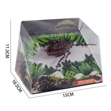 Load image into Gallery viewer, Simulated Cockroach Toy Cat Electric Vibration Cockroach Toys Pet Kitten Interactive Toys Simution Cockroach Tricky Toys Insect Model
