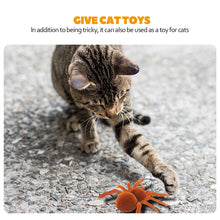 Load image into Gallery viewer, Simulated Spider Toy Cat Electric Vibration Spider Toys Pet Kitten Spider Toys Simution Cockroach Tricky Toys Insect Model
