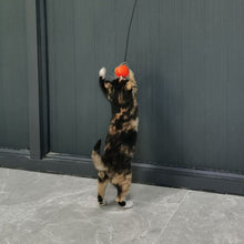 Load image into Gallery viewer, Simulation Bird Cat Interactive Toys Retractable Door Hanging Feather Toys Cat Scratch Rope Mouse Funny Teaser Traning Toys Interactive Mouse Toy Pet Supplies
