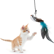 Load image into Gallery viewer, Simulation Bird Cat Interactive Toys Retractable Door Hanging Feather Toys Cat Scratch Rope Mouse Funny Teaser Traning Toys Interactive Mouse Toy Pet Supplies
