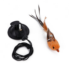 Load image into Gallery viewer, Simulation Bird Cat Interactive Toys Retractable Door Hanging Feather Toys Cat Scratch Rope Mouse Funny Teaser Traning Toys Interactive Mouse Toy Pet Supplies
