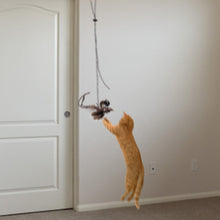 Load image into Gallery viewer, Simulation Bird Cat Interactive Toys Retractable Door Hanging Feather Toys Cat Scratch Rope Mouse Funny Teaser Traning Toys Interactive Mouse Toy Pet Supplies
