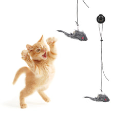 Load image into Gallery viewer, Simulation Bird Cat Interactive Toys Retractable Door Hanging Feather Toys Cat Scratch Rope Mouse Funny Teaser Traning Toys Interactive Mouse Toy Pet Supplies
