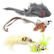 Load image into Gallery viewer, Simulation Bird Cat Interactive Toys Retractable Door Hanging Feather Toys Cat Scratch Rope Mouse Funny Teaser Traning Toys Interactive Mouse Toy Pet Supplies
