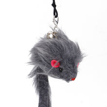 Load image into Gallery viewer, Simulation Bird Cat Interactive Toys Retractable Door Hanging Feather Toys Cat Scratch Rope Mouse Funny Teaser Traning Toys Interactive Mouse Toy Pet Supplies
