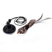 Load image into Gallery viewer, Simulation Bird Cat Interactive Toys Retractable Door Hanging Feather Toys Cat Scratch Rope Mouse Funny Teaser Traning Toys Interactive Mouse Toy Pet Supplies
