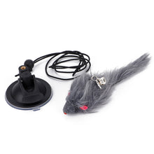 Load image into Gallery viewer, Simulation Bird Cat Interactive Toys Retractable Door Hanging Feather Toys Cat Scratch Rope Mouse Funny Teaser Traning Toys Interactive Mouse Toy Pet Supplies
