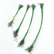 Load image into Gallery viewer, 20PCS 15CM-30CM Anti Bite Steel Fishing Line Steel Wire Leader With Swivel Fishing Accessory Lead Core Leash Fishing Wire

