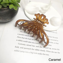 Load image into Gallery viewer, Large Jelly-colored Plate Hair Hairpin Casual Hair Clip Temperament Fashion All-match Hair Accessories
