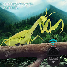 Load image into Gallery viewer, High Simulation Electric Infrared Remote Control Simulate Mantis Shape Trick Toy For Kids Pets Halloween Christmas

