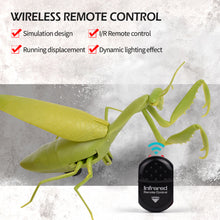 Load image into Gallery viewer, High Simulation Electric Infrared Remote Control Simulate Mantis Shape Trick Toy For Kids Pets Halloween Christmas

