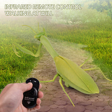 Load image into Gallery viewer, High Simulation Electric Infrared Remote Control Simulate Mantis Shape Trick Toy For Kids Pets Halloween Christmas
