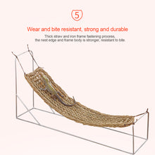Load image into Gallery viewer, Reptile Lizard Hammock Hamster Reptile Grass Mat Pet Bed Seaweed Hammock Swing Pet Reptile Toy Hanging Bed Mat Hanging Sofas
