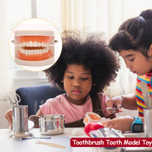 Load image into Gallery viewer, Kids Montessori Educational Toys Children's Oral Simulation Teeth Model Kids Intelligence Brushing Tooth Teaching Aids Simulated Practical Life
