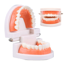Load image into Gallery viewer, Kids Montessori Educational Toys Children's Oral Simulation Teeth Model Kids Intelligence Brushing Tooth Teaching Aids Simulated Practical Life
