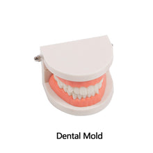 Load image into Gallery viewer, Kids Montessori Educational Toys Children's Oral Simulation Teeth Model Kids Intelligence Brushing Tooth Teaching Aids Simulated Practical Life
