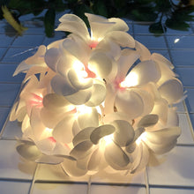 Load image into Gallery viewer, 1.5M/3M Holiday Flower Light String Wedding Decoration LED Fairy Lights Christmas Xmas Decorative Garland LED String Light USB/Battery Powered Light
