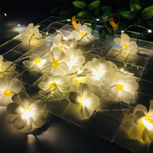 Load image into Gallery viewer, 1.5M/3M Holiday Flower Light String Wedding Decoration LED Fairy Lights Christmas Xmas Decorative Garland LED String Light USB/Battery Powered Light
