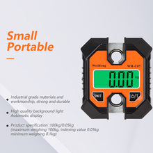Load image into Gallery viewer, 100KG 50g Digital Fishing Scale Large Screen Portable Hunting Weighing Scale Industrial Digital Scale with Backlight Hook
