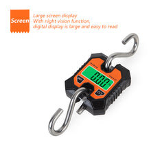 Load image into Gallery viewer, 100KG 50g Digital Fishing Scale Large Screen Portable Hunting Weighing Scale Industrial Digital Scale with Backlight Hook
