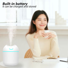 Load image into Gallery viewer, Portable 250ml USB Chargeable Air Humidifier Mute Aromatherapy Aroma Oil Diffuser with Night Light Cool Mist Sprayer Plants Purifier for Bedroom Home Car
