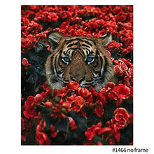 Load image into Gallery viewer, 40*50cm DIY Animal Oil Painting By Numbers Painting Framed Canvas Painting Digital Painting Drawing Practice Birthday Gift Home Bedroom Wall Decoration
