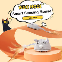 Load image into Gallery viewer, Smart Sensing Mouse Cat Toys Interactive Electric Stuffed Toy Cat Teaser Self-Playing USB Charging Kitten Mice Toys for Cats Pet Supplies
